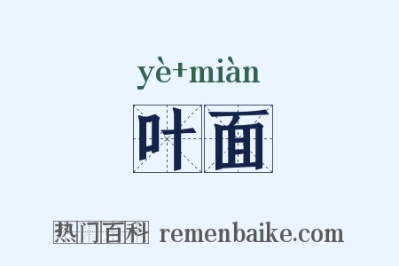 叶面是什么意思的图片